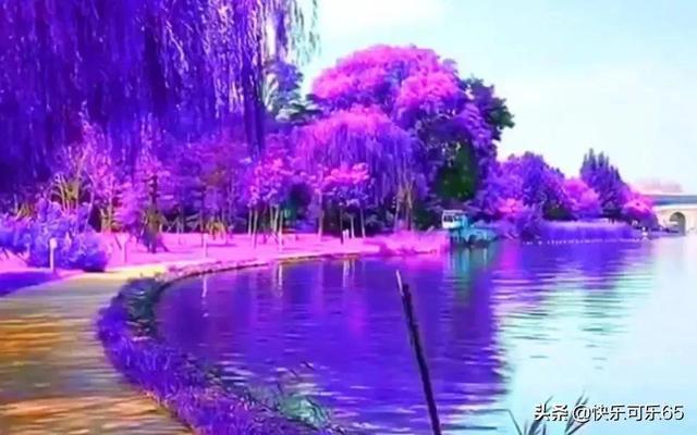七人局